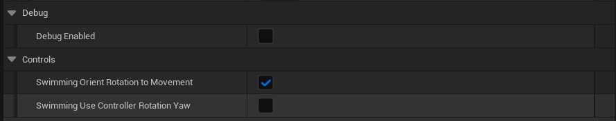 Debug and Controls settings