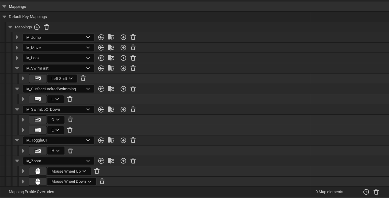 Input Mapping Context