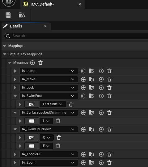 Input Mapping Context