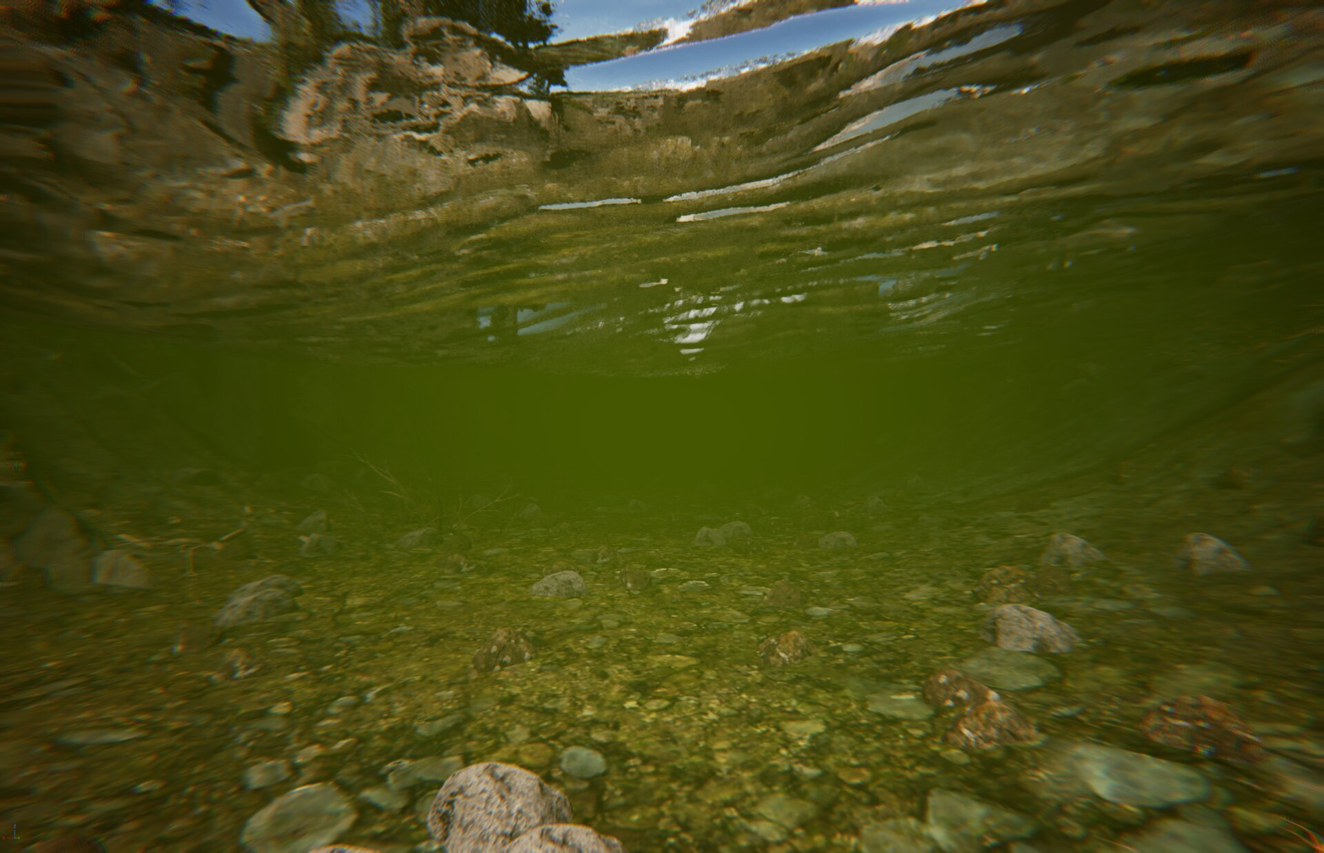 Underwater view of the river